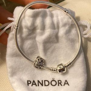 Pandora bracelet with graduation owl charm